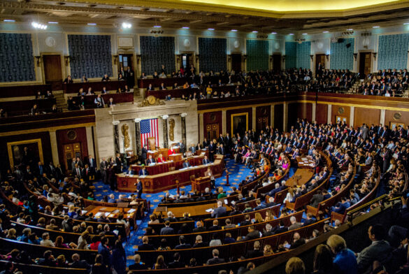 the senate